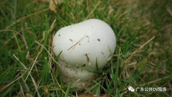 太粗太深了太紧太爽了国产