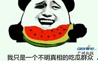 吃瓜表情的含义是什么意思啊,网络社交中的幽默与讽刺